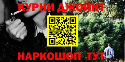 амф Бийск