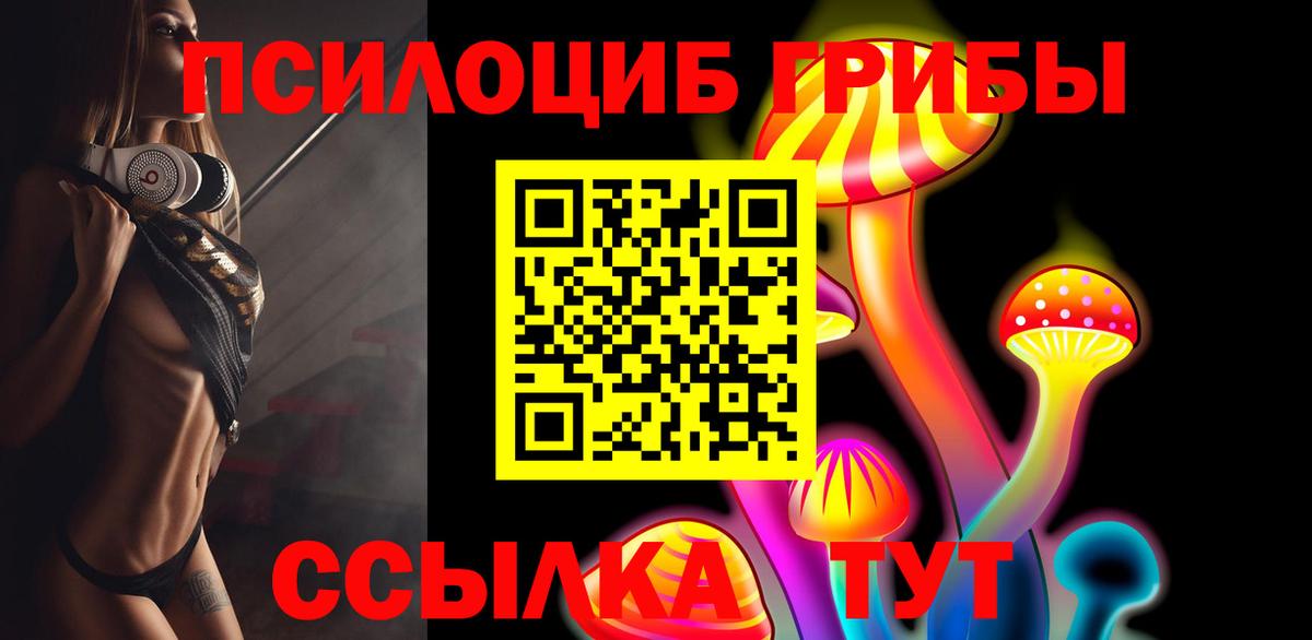 Псилоцибиновые грибы мухоморы  Вход с VPN  купить закладку  Заводоуковск  Галлюциногенные грибы Magic Shrooms 