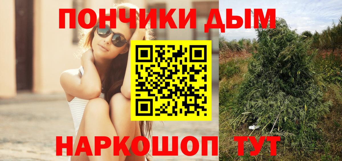 Бошки марихуана марихуана  Вход с VPN  Заводоуковск  Бошки Шишки OG Kush  Марихуана White Widow 